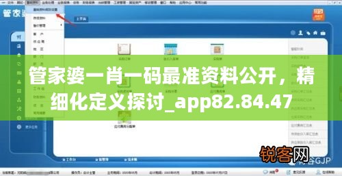 管家婆一肖一码最准资料公开，精细化定义探讨_app82.84.47