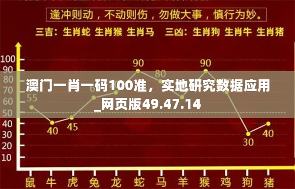 澳门一肖一码100准，实地研究数据应用_网页版49.47.14