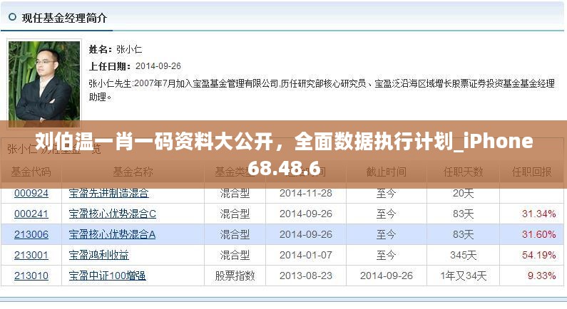 刘伯温一肖一码资料大公开，全面数据执行计划_iPhone68.48.6