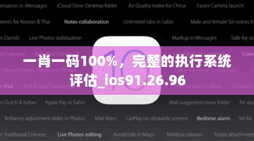 一肖一码100%，完整的执行系统评估_ios91.26.96