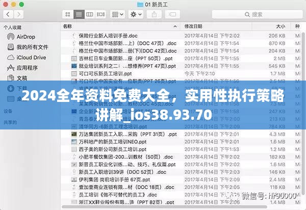 2024全年资料免费大全，实用性执行策略讲解_ios38.93.70