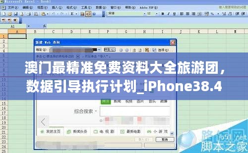澳门最精准免费资料大全旅游团，数据引导执行计划_iPhone38.45.91