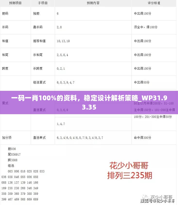 一码一肖100%的资料，稳定设计解析策略_WP31.93.35