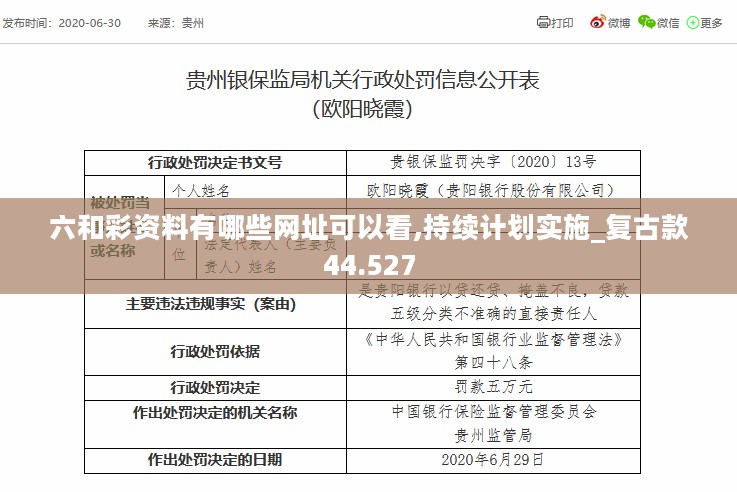 六和彩资料有哪些网址可以看,持续计划实施_复古款44.527