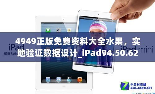 4949正版免费资料大全水果，实地验证数据设计_iPad94.50.62