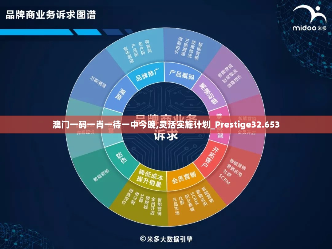 澳门一码一肖一待一中今晚,灵活实施计划_Prestige32.653