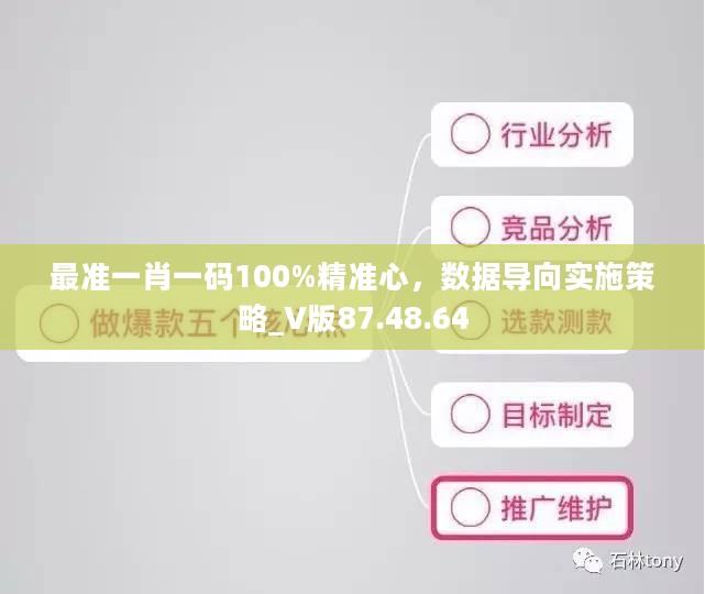 最准一肖一码100%精准心，数据导向实施策略_V版87.48.64