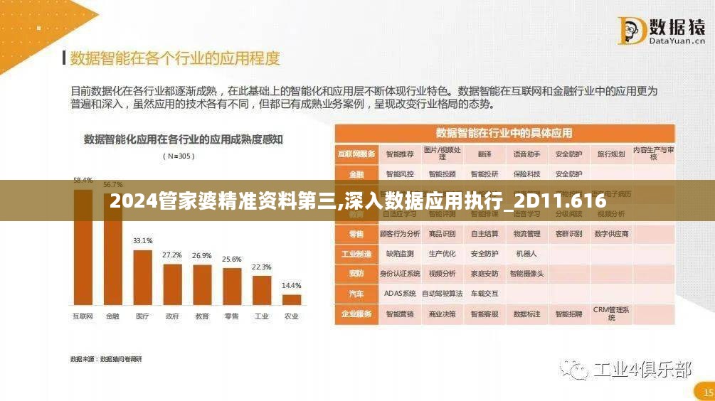 2024管家婆精准资料第三,深入数据应用执行_2D11.616