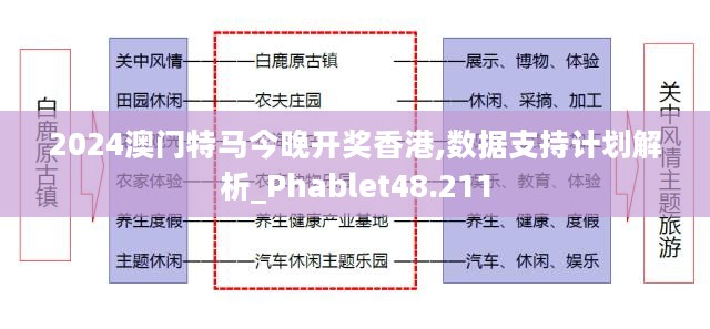 2024澳门特马今晚开奖香港,数据支持计划解析_Phablet48.211