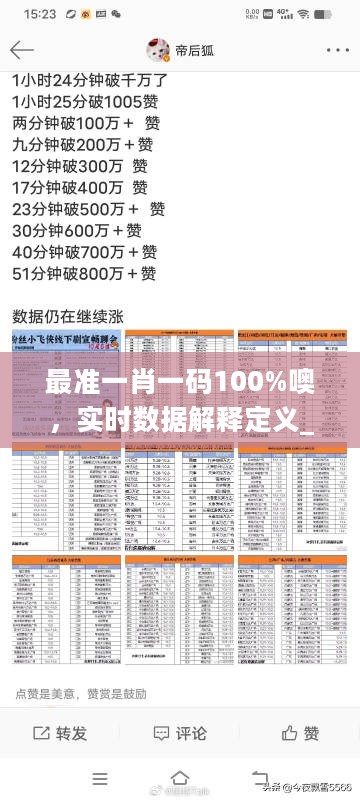 最准一肖一码100%噢，实时数据解释定义_VIP35.51.99