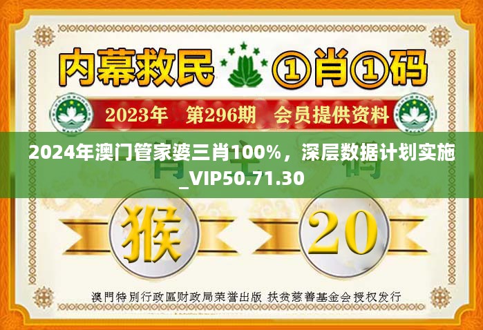 2024年澳门管家婆三肖100%，深层数据计划实施_VIP50.71.30