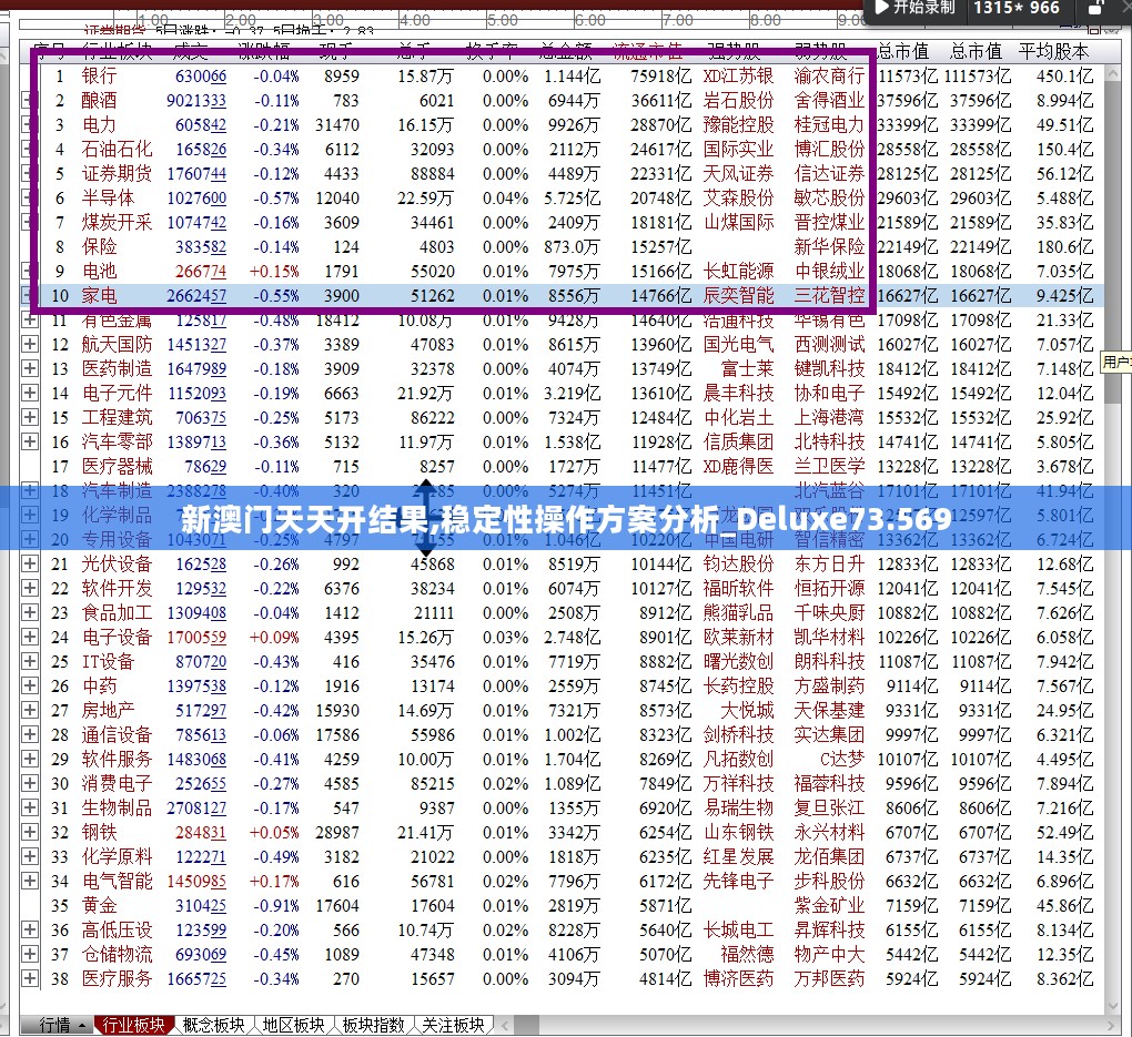 新澳门天天开结果,稳定性操作方案分析_Deluxe73.569