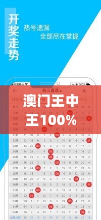 澳门王中王100%的资料2024，创新策略解析_3D95.12.77