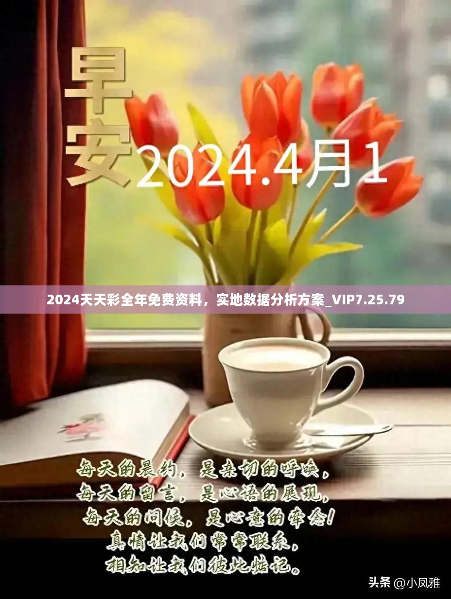 2024天天彩全年免费资料，实地数据分析方案_VIP7.25.79