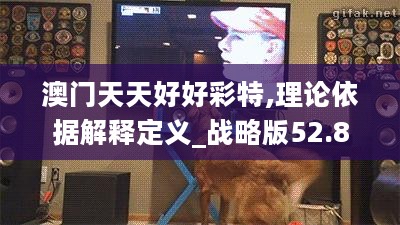 澳门天天好好彩特,理论依据解释定义_战略版52.810