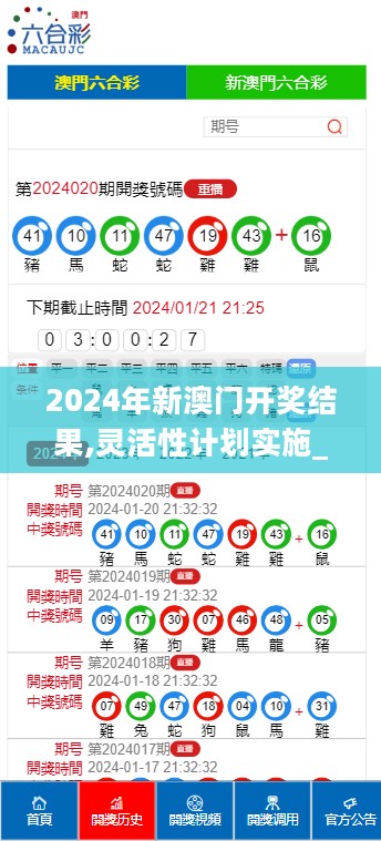 2024年新澳门开奖结果,灵活性计划实施_经典款86.650