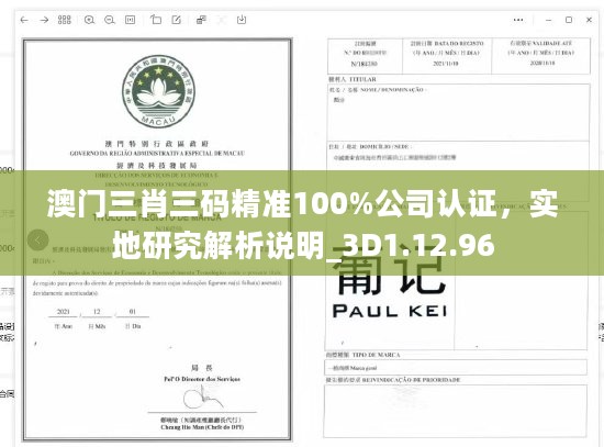 澳门三肖三码精准100%公司认证，实地研究解析说明_3D1.12.96