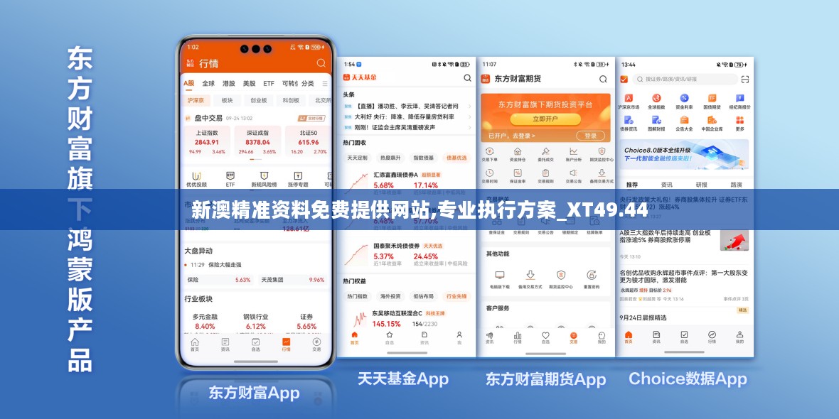 新澳精准资料免费提供网站,专业执行方案_XT49.44