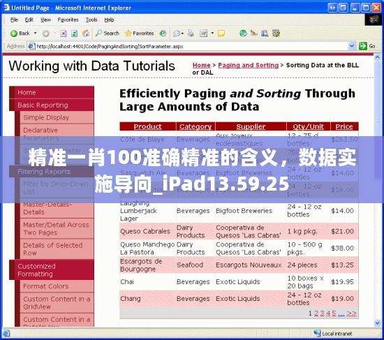 精准一肖100准确精准的含义，数据实施导向_iPad13.59.25