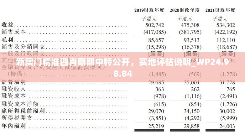 新澳门精准四肖期期中特公开，实地评估说明_WP24.98.84