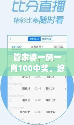 管家婆一码一肖100中奖，综合数据解释定义_WP15.19.67