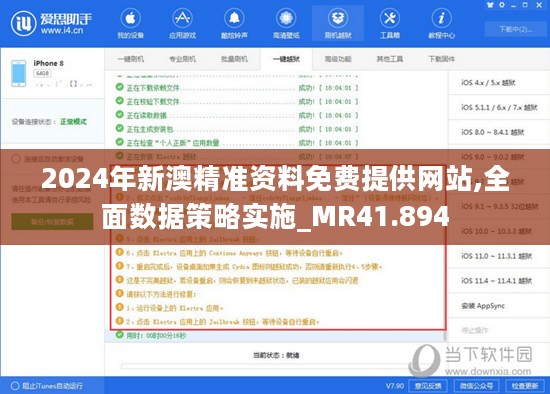 2024年新澳精准资料免费提供网站,全面数据策略实施_MR41.894