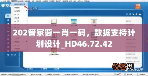 202管家婆一肖一码，数据支持计划设计_HD46.72.42