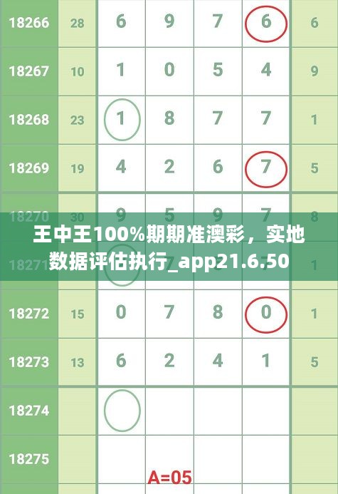 王中王100%期期准澳彩，实地数据评估执行_app21.6.50