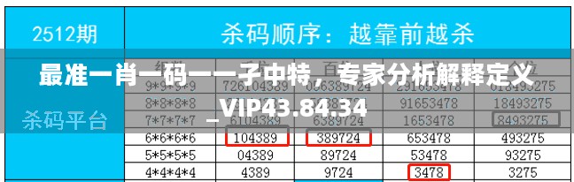 最准一肖一码一一孑中特，专家分析解释定义_VIP43.84.34