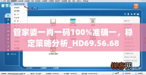 管家婆一肖一码100%准确一，稳定策略分析_HD69.56.68