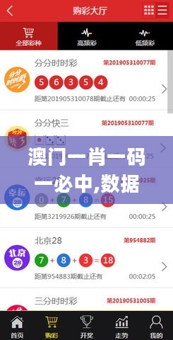 澳门一肖一码一必中,数据解析导向策略_Advance37.100