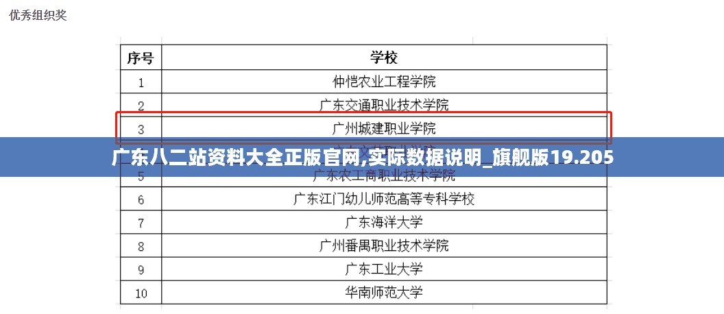 广东八二站资料大全正版官网,实际数据说明_旗舰版19.205