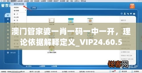 澳门管家婆一肖一码一中一开，理论依据解释定义_VIP24.60.5