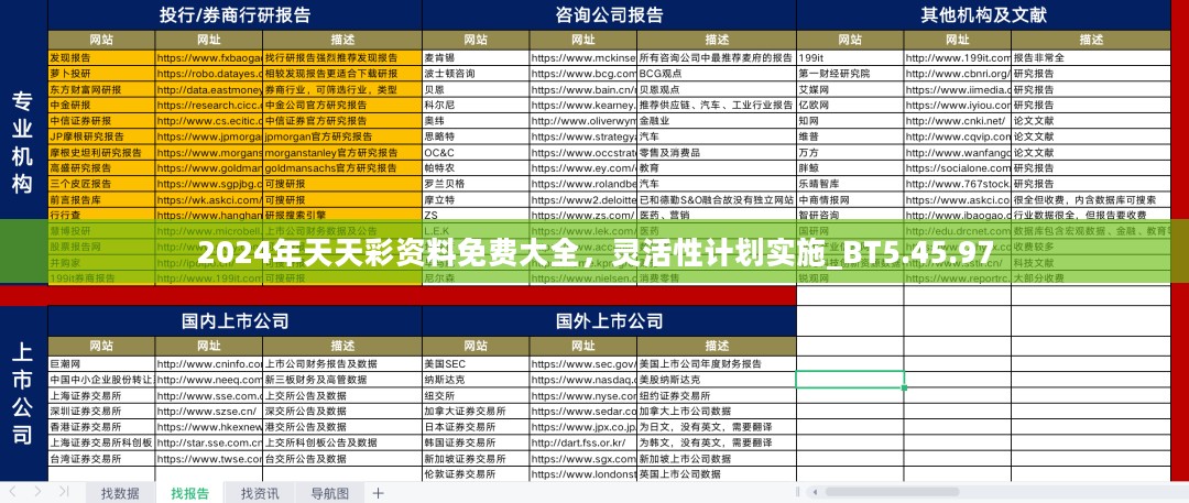 2024年天天彩资料免费大全，灵活性计划实施_BT5.45.97