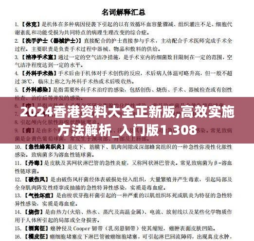 2024香港资料大全正新版,高效实施方法解析_入门版1.308