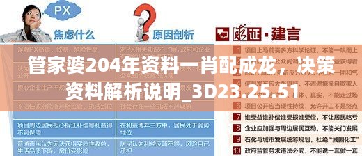 管家婆204年资料一肖配成龙，决策资料解析说明_3D23.25.51