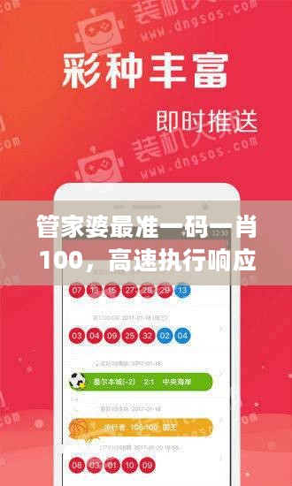 管家婆最准一码一肖100，高速执行响应计划_The64.15.62