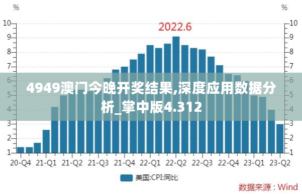 4949澳门今晚开奖结果,深度应用数据分析_掌中版4.312