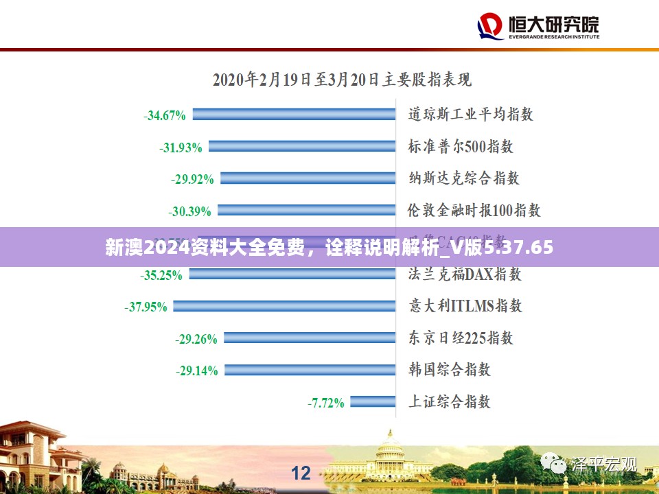 新澳2024资料大全免费，诠释说明解析_V版5.37.65