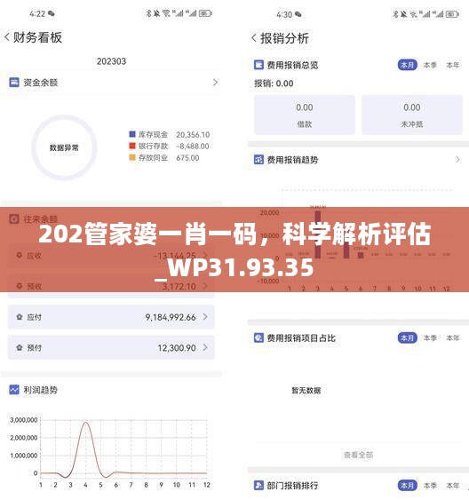 202管家婆一肖一码，科学解析评估_WP31.93.35