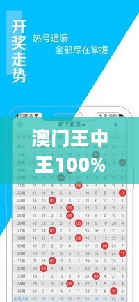 澳门王中王100%的资料三中三,迅捷处理问题解答_普及版5.851