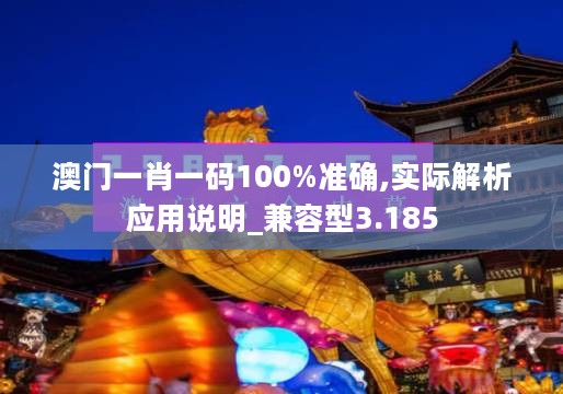 澳门一肖一码100%准确,实际解析应用说明_兼容型3.185