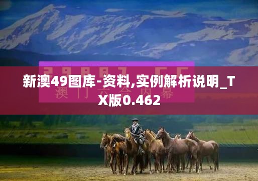 新澳49图库-资料,实例解析说明_TX版0.462