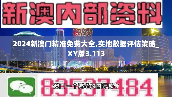 2024新澳门精准免费大全,实地数据评估策略_XY版3.113