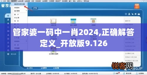 管家婆一码中一肖2024,正确解答定义_开放版9.126