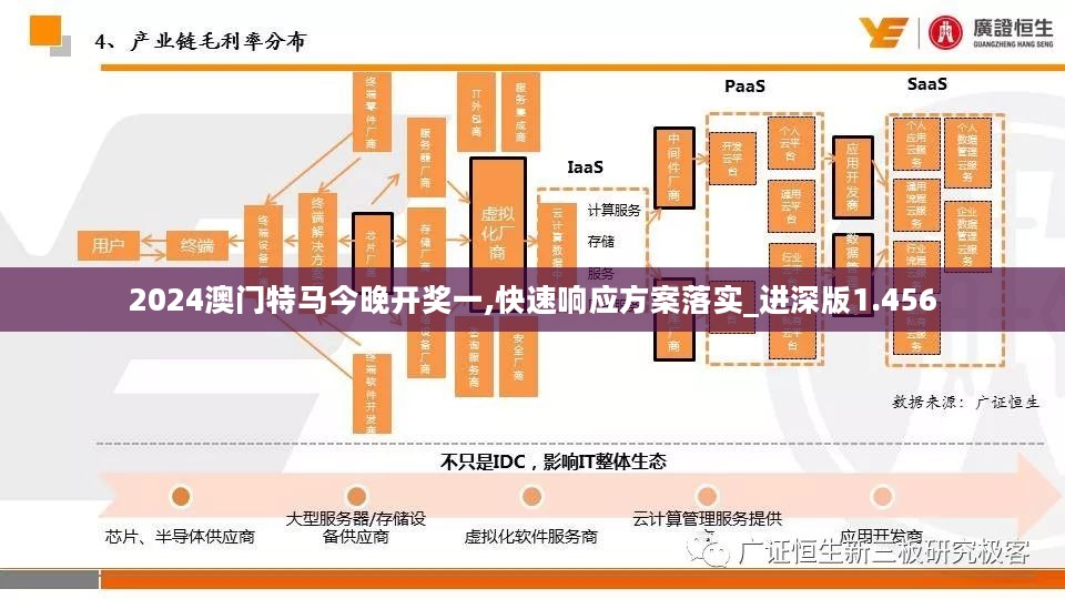 2024澳门特马今晚开奖一,快速响应方案落实_进深版1.456