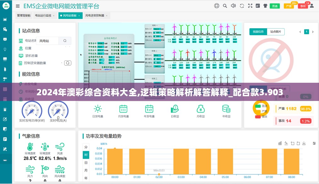 2024年澳彩综合资料大全,逻辑策略解析解答解释_配合款3.903