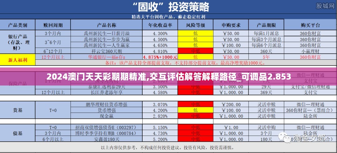 2024澳门天天彩期期精准,交互评估解答解释路径_可调品2.853