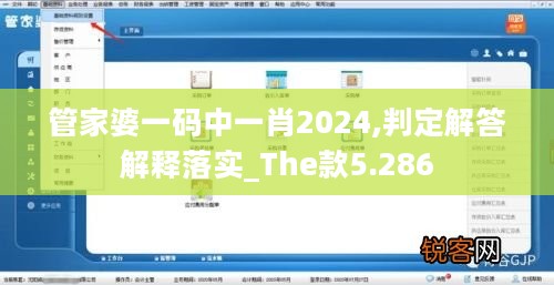 管家婆一码中一肖2024,判定解答解释落实_The款5.286