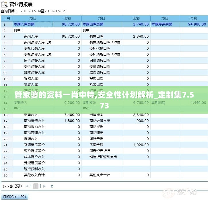 管家婆的资料一肖中特,安全性计划解析_定制集7.573